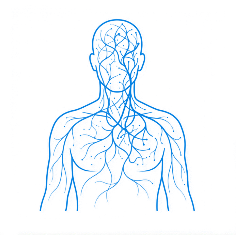 Illustration of nervous-system overload and chronic stress.