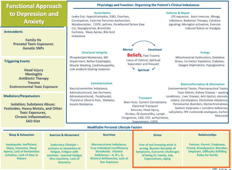Functional medicine matrix for depression and anxiety showing physiology, clinical imbalances, mediators, and modifiable lifestyle factors.