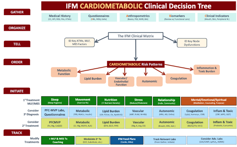 IFM cardiometabolic clinical decision tree showing the functional medicine matrix, risk patterns, and treatment planning flow.