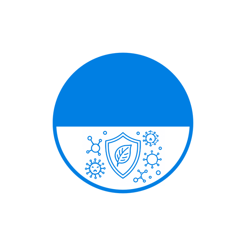 Square hero placeholder for the Medicinal mushrooms: quality, compounds, and uses article.